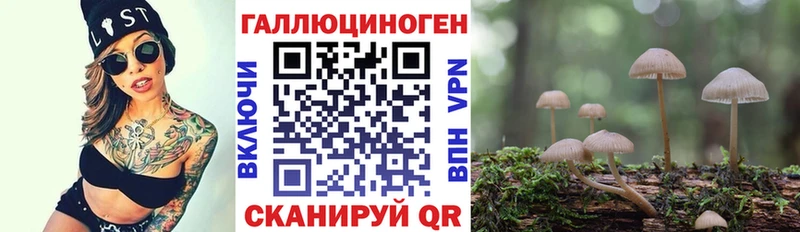 Галлюциногенные грибы MAGIC MUSHROOMS  продажа наркотиков  Верхоянск 